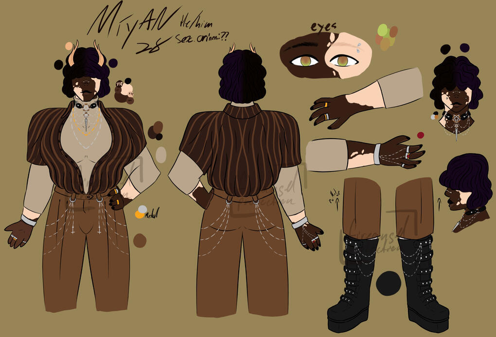 Character sheet of Miyan